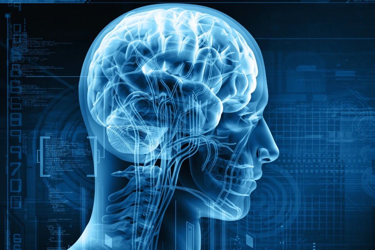 Neuro Science